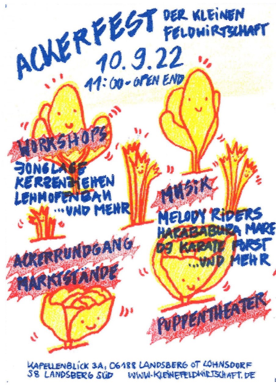 Flyer AF22